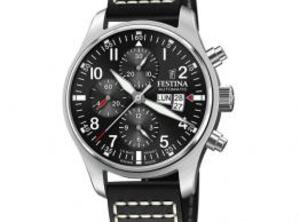 Festina - Swiss Made F20150/6