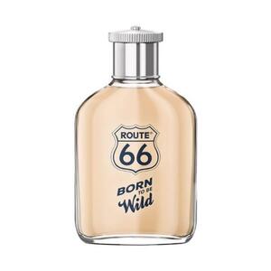 Route 66 Born To Be Wild ns edt 100ml